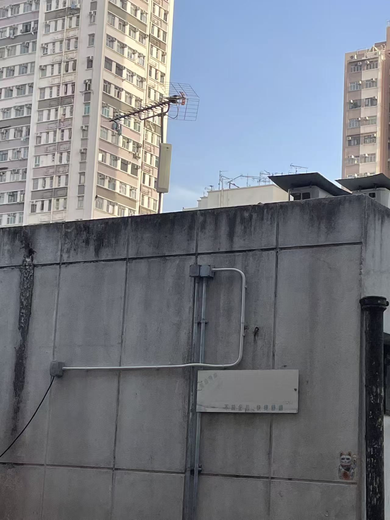 香港天台接收設備實拍